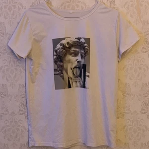 T-shirt med tryck  - Säljer min T-shirt med detta coola tryck! Köpt på Shein men knappast använd då storleken var för stor. Skulle säga att den är storlek S/M men passar även XS fast oversized. Nyskick, 50kr + frakt. 