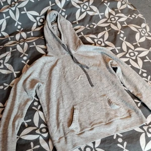 Hollister hoodie  - Hollister hoodie i storlek M men passar S. 60 kr + frakt 🥰