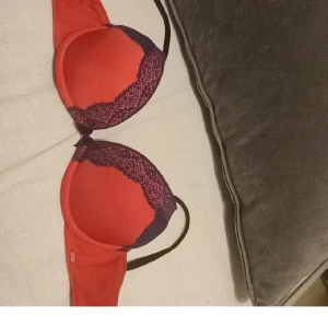 Dorina bh  - Dorina bh 