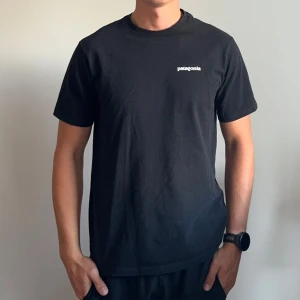 Svart Patagonia t-shirt med logga - Svart t-shirt från Patagonia i bomull med klassisk passform. Liten vit Patagonia-logga på bröstet och stor färgglad logga med bergsmotiv på ryggen. Enkel och stilren design som funkar till allt. Rund hals och korta ärmar.