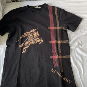 T-shirt med tryck över  - Jag säljer en T-shirt med ”häst” tryck över och en liten guldig text med röd och guldiga/bruna detaljer. Den är i bra skick men har använts mycket, kan göra snabb affär.