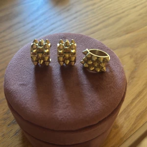 Guldiga örhängen och ring med nitar - Guld örhängen och ring från Edblad, örhängena kostar 500 nypris och är aldrig använda, ringen kostar 400 nypris och är knappt använt. Säljer båda för 400