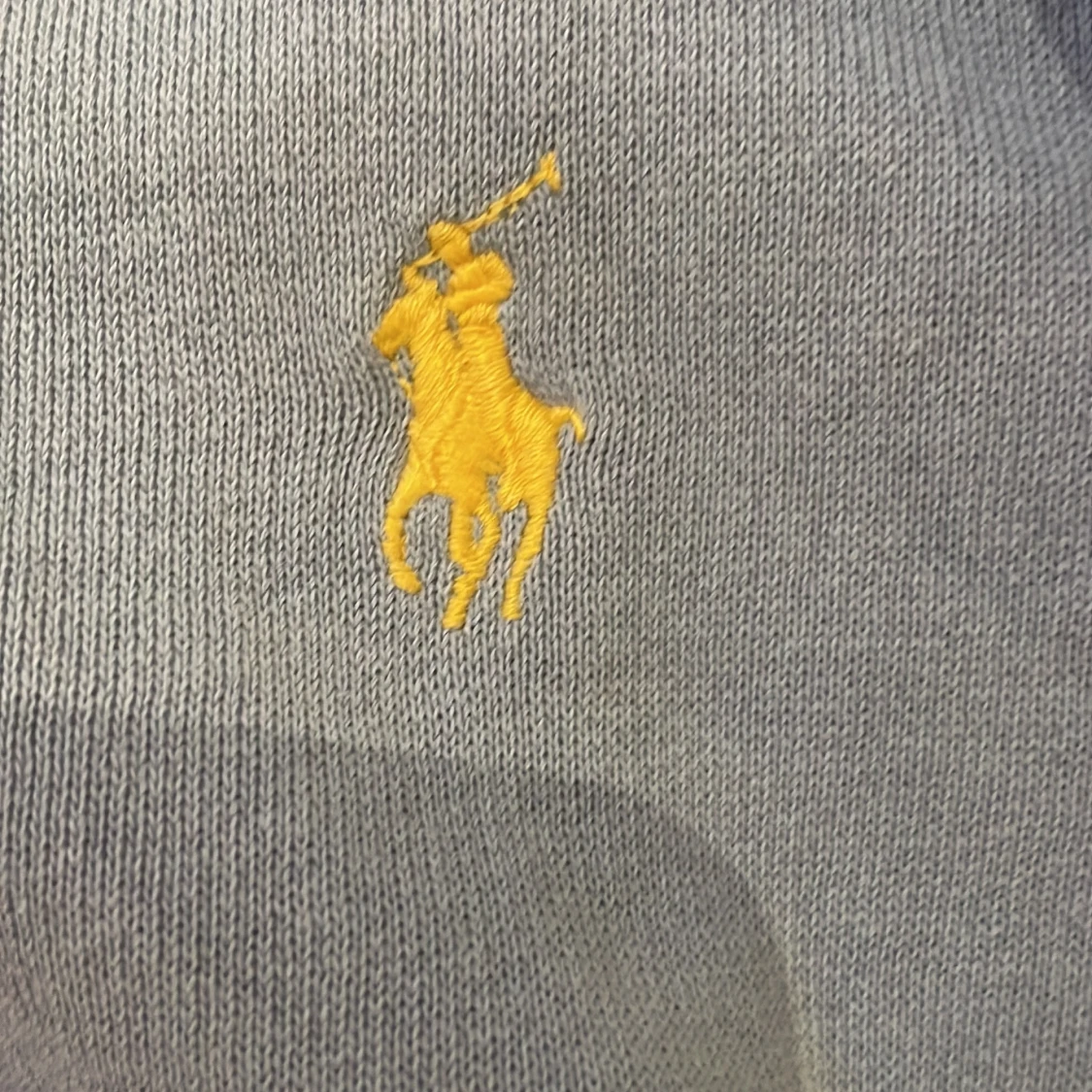 Blå hoodie från Polo Ralph Lauren - 1