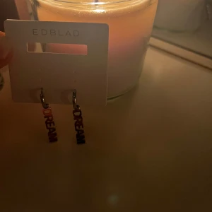 Silvriga örhängen, DREAM från Edblad - Säljer dessa supersnygga örhängen från Edblad med hängande texten 'DREAM' i blockbokstäver. Använt några fåtals gånger, inget fel på dem. Pga att de knappt kommit till användning