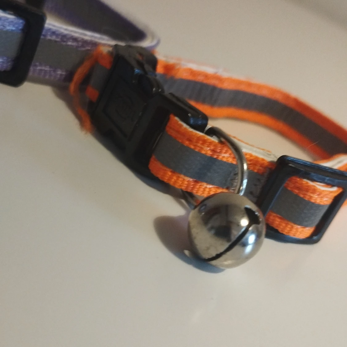 Två randiga halsband med bjällra - 3