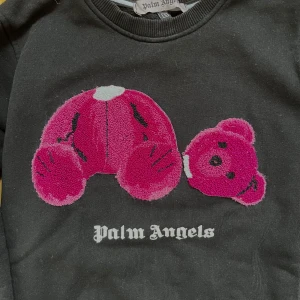 Palm Angels hoodie - Säljer en svart hoodie från Palm Angels med en stor rosa nalle på framsidan.  Den är i storlek S men passar även XS. Vet tyvärr inte om den är äkta💕 Skeiv gärna om du har frågor runt varan