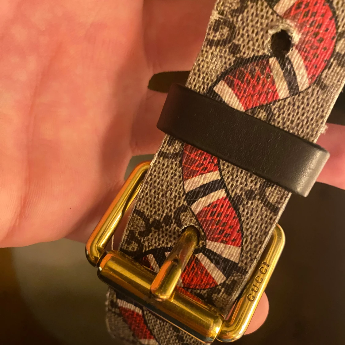 Mönstrat bälte från Gucci - 1