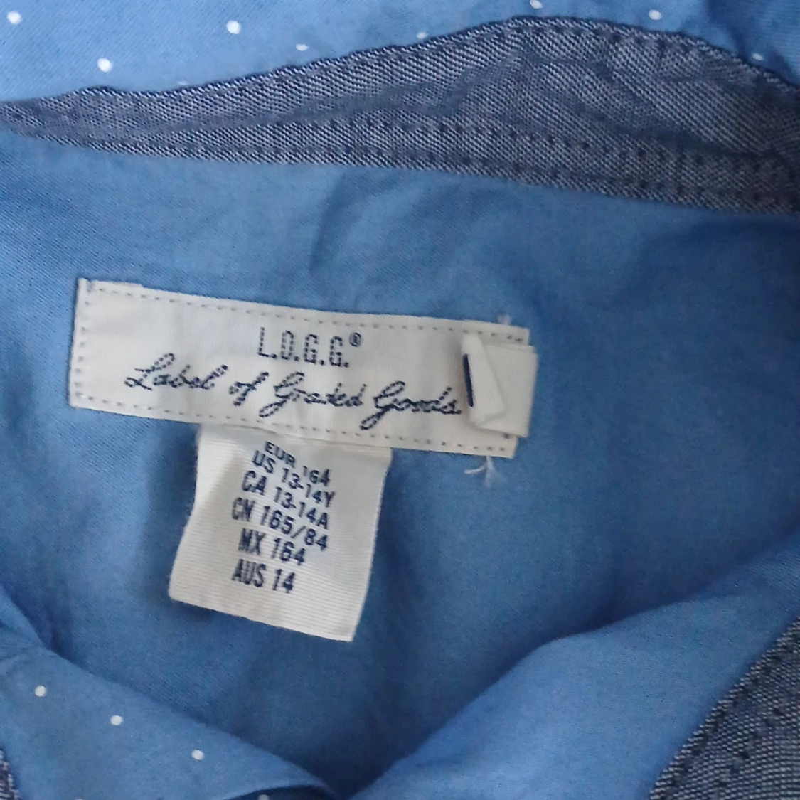 Blå prickig skjorta från L.O.G.G. - 1