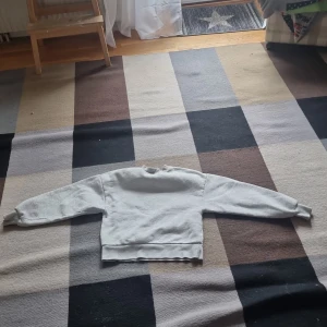 Ljusgrå sweatshirt från Gina Tricot - En basic ljusgrå sweatshirt från Gina Tricot, basically basics-kollektionen. Tröjan har rund hals, långa ärmar och ribbade muddar vid ärmslut och nederkant. Tillverkad i bomull för en mjuk och bekväm känsla.