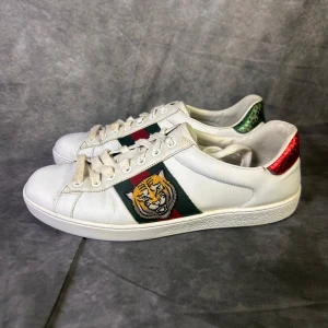 Gucci ace sneaker - Mycket fint skick | Size uk 6,5 vilket passar 41   | fraktar spårbart inom 24 timmar med PostNord eller instabox | inget og medföljer 