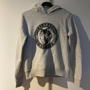 Grå hoodie med tryck - Säljer en grå hoodie med tryck av en varg samt text.  Tröjan har huva och långa ärmar, samt muddar vid ärmslut och nederkant.