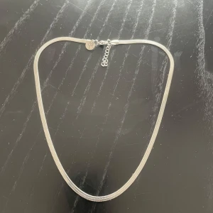 Silverfärgat halsband med kedja - Silverfärgat halsband med en fin kedja och justerbar längd. Halsbandet har en liten rund berlock vid låset. Det är från Edblad. Aldrig använt.Är öppen för prisförslag, finns det funderingar är det bara att skriva till mig💕