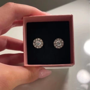 Glittriga örhängen i silver från Lily and Rose - Säljer ett par eleganta glittriga örhängen i silver. De har en rund form med gnistrande stenar som ger en lyxig känsla. Perfekta för att lysa upp vilken outfit som helst. 