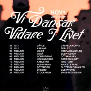 Vi Dansar Vidare I Livet - Säljer en hov1 biljett i Göteborg den 22a augusti 2025.