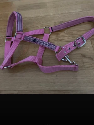 Rosa grimma för häst - Säljer en rosa grimma för häst med justerbara spännen och mjuk vaddering vid nos och nacke. Grimman är tillverkad i slitstark nylon och har metallspännen och ringar. Perfekt för dig som vill ha lite färg i stallet.