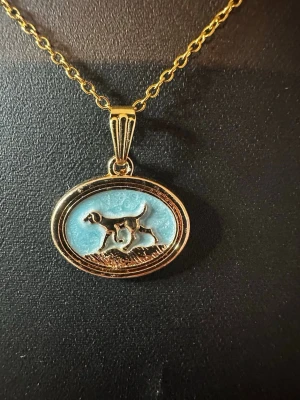 Guldigt halsband med hundmotiv - Snyggt halsband med en oval berlock i guldfärg. Berlocken har ett motiv av en hund mot en ljusblå bakgrund och detaljerad ram. Kedjan är tunn och tvinnad, vilket ger ett elegant intryck. Perfekt för dig som gillar djur och vill ha något unikt.