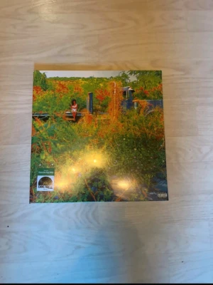 Jhene aiko rsd trip vinyl sealed - Fortfarande sealed. Perfekt condition. Picture disc.
