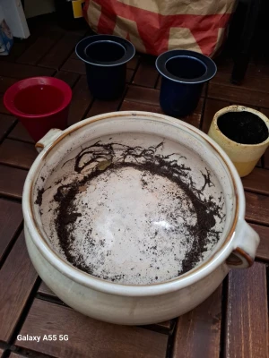 Flera blomkrukor i olika färger - Säljer ett gäng blomkrukor i olika färger och former. Två mörkblå plastkrukor, en röd plastkruka, en gul keramikkruka och en stor vit keramikskål med handtag. Perfekt för dig som vill plantera om växter eller fixa på balkongen.