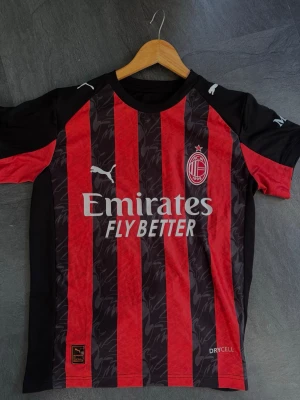 AC Milan matchtröja Puma röd/svart - Säljer en AC Milan matchtröja från Puma med klassiska röda och svarta vertikala ränder. Tröjan har klubbmärke och Puma-logga på bröstet samt Emirates Fly Better-tryck.                                    (Står storlek M men sitter mer som S)