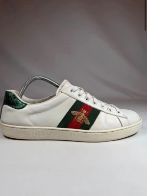 Gucci Ace  - Säljer nu dessa feta Gucci ace i mycket bra skick. Tyvärr ingen og box eller dustbag. Kan gå ner i pris vid snabb affär eller köp!