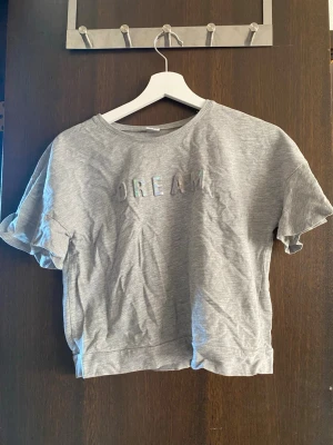 Grå t-shirt med DREAM-tryck - Säljer en grå t-shirt med holografiskt DREAM-tryck på bröstet. T-shirten har korta ärmar och en klassisk rund halsringning. Materialet är mjukt och känns som bomull, perfekt för en avslappnad och cool look.