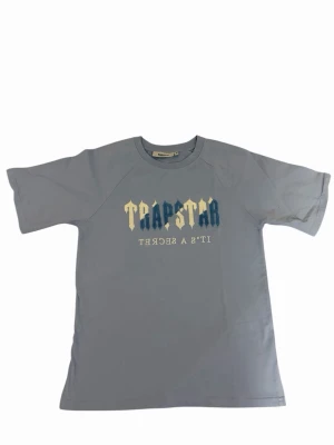Blå Trapstar t-shirt med tryck - Snygg ljusblå t-shirt från Trapstar med stort tryck i blått och gult på bröstet där det står 'Trapstar' och 'It's a secret' spegelvänt under. Klassisk rund halsringning och korta ärmar. Perfekt för en streetwear-look.