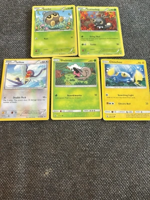 Fem Pokémonkort med olika motiv - Säljer fem Pokémonkort: Seedot, Scatterbug, Taillow, Shelmet och Chinchou. Korten har färgglada illustrationer och olika bakgrunder. Perfekt för dig som samlar eller gillar Pokémon. Alla korten är på engelska och har olika typer och attacker.
