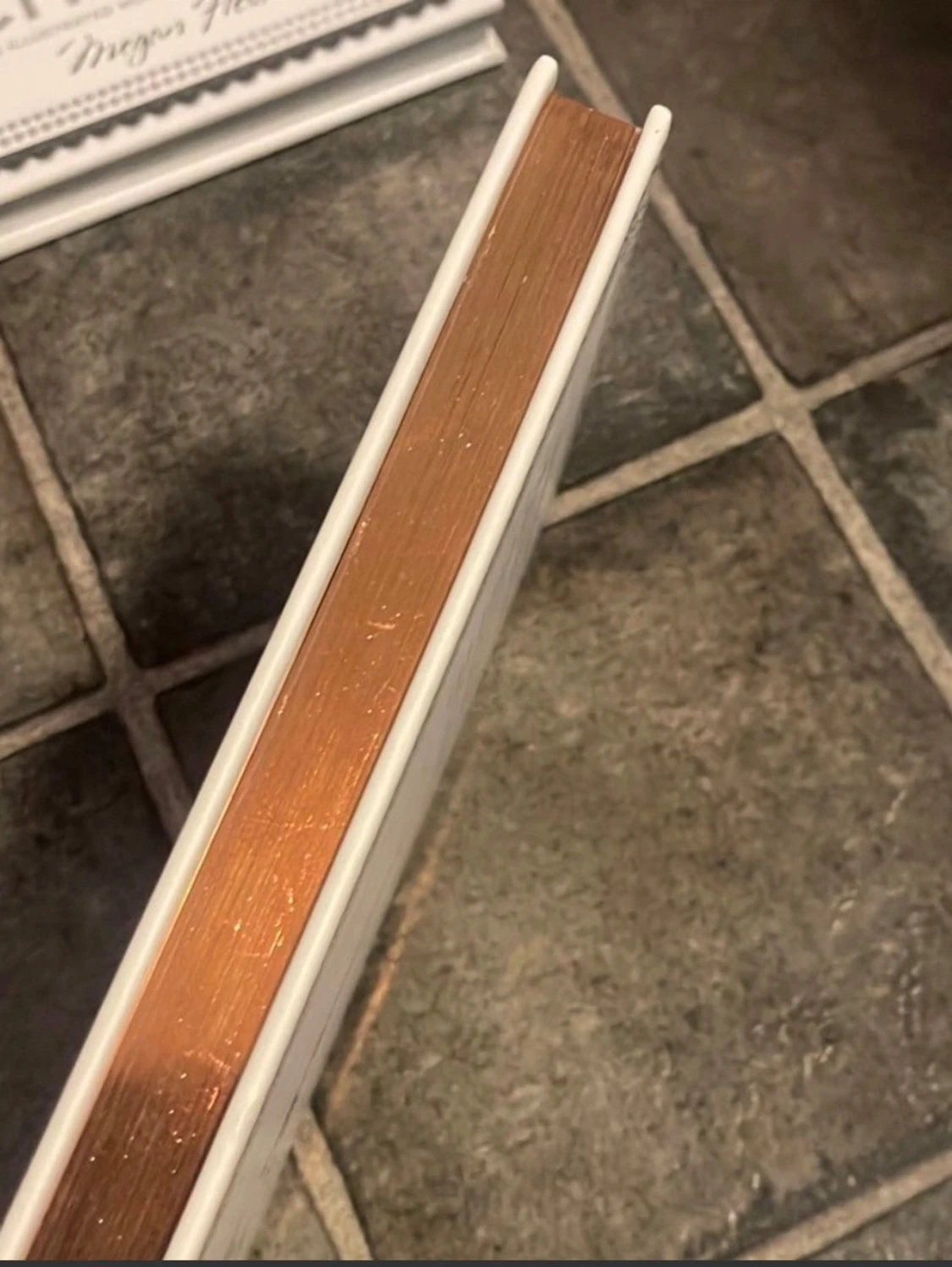 New York, Paris & Coco Chanel av Megan Hess - 4