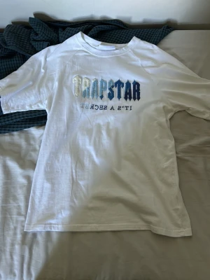 Vit Trapstar t-shirt med tryck - Säljer en vit t-shirt från Trapstar med stort tryck i blå och grå toner på bröstet där det står 'Trapstar' och 'It's a secret'. Klassisk passform och korta ärmar, perfekt till streetwear-stilen.