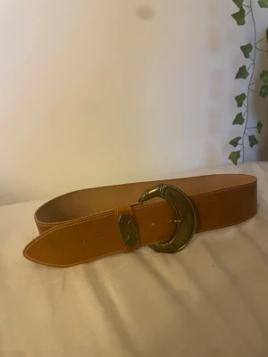 Bälte -  jätte snyggt bälte! SKICKA GÄRNA PRISFÖRSLAG 