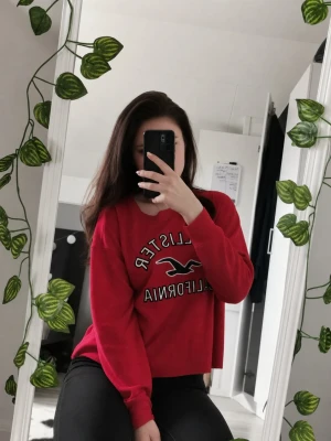 Röd croppad topp från Hollister - Säljer en röd croppad långärmad topp från Hollister med stort tryck framtill där det står 'Hollister California' och en ikonisk fågel. Toppen har en ribbad struktur och avslappnad passform, perfekt till jeans eller leggings.