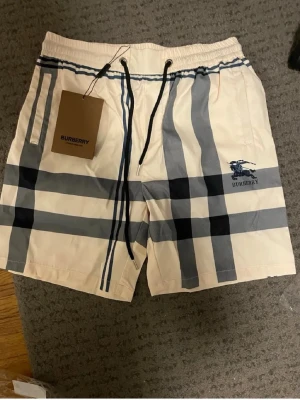 Rutig Burberry shorts med snörning - Snygga shorts från Burberry i klassiskt rutigt mönster i vitt, blått och svart. Shortsen har elastisk midja med snörning och Burberry-logga broderad på ena benet. Perfekta för sommaren och ger en exklusiv känsla till din outfit.