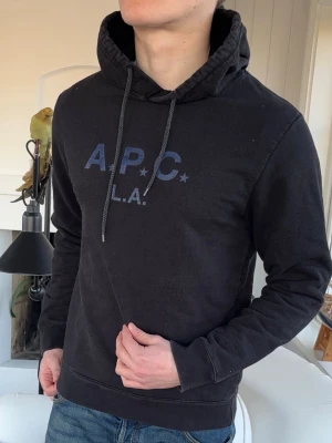 APC LA hoodie  - modell 182cm 72kg, storlek: sitter som en small