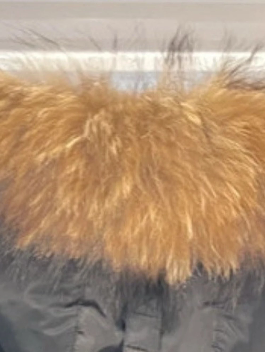 Äkta pälskrage från hollies  - 1