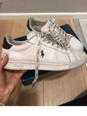 Polo sneakers - Polo Ralph lauren sneakers, size 39
