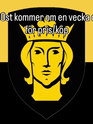 AIK KLIBBOR - AIK klibbor 50st för 100kr går att köpa om en vecka ish när de kommer