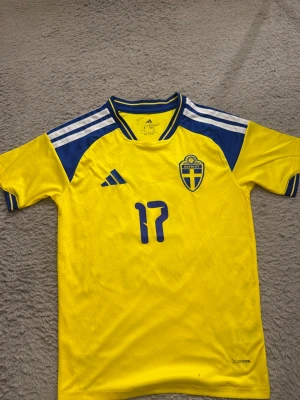 Sverige matchtröja Gyökeres #17 - Säljer min Sverige fotbollströja i mycket bra nytt skick, endast använd 2 gånger. Köpt på stadium, nypris 850kr