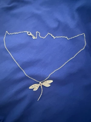 Silverhalsband (S925)med trollslända - Snyggt halsband i silverfärg med en detaljrik trollslända som hänge. Kedjan är tunn och smidig, och trollsländan har fina mönster på vingarna som ger ett unikt och stilrent intryck. Perfekt för dig som gillar naturinspirerade smycken och vill sticka ut lite extra.