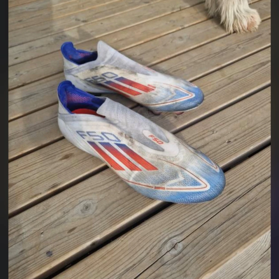 Adidas F50 fotbollsskor blå/röd - 1