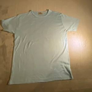 Ljusblå t-shirt från Tee Jays - En stilren ljusblå t-shirt från Tee Jays i storlek L/XL. T-shirten har klassisk rund hals och korta ärmar. Tillverkad i mjuk bomull för en skön känsla hela dagen. Perfekt basic-plagg att ha i garderoben.