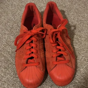 Adidas Superstar röda mockasneakers - Riktigt snygga Adidas Superstar sneakers i helrött mocka med matchande röda snören och sula. Klassisk snäcktå i röd gummi och ikoniska tre ränder på sidan. Adidaslogga i svart på hälen och en guldfärgad detalj baktill. Perfekta för dig som vill sticka ut.