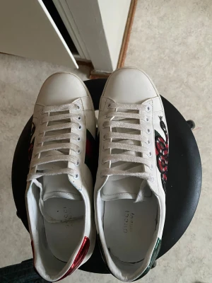 Gucci Ace sneakers med orm broderi - Säljer ett par vita Gucci Ace sneakers i skinn med ikoniskt broderat orm-motiv på sidan. Skorna har snörning, platt sula och metallic-detaljer i rött och grönt på hälen. Snygg rund tå och klassisk siluett som sticker ut med den coola designen. Pris kan diskuteras 