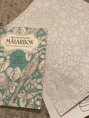 Min Rogivande Målarbok - En avslappnande målarbok fylld med meditativa motiv, mandalas och vackra naturbilder. Perfekt för dig som vill varva ner, vara kreativ och skapa färgglada konstverk. Passar både nybörjare och vana färgläggare som söker inspiration och lugn. Det finns inga sidor i boken som är färglagda, dock någon sida av riven.