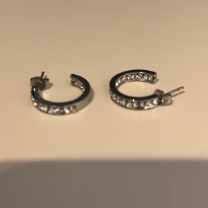 Örhängen Edblads - Jättesöta örhängen från Edblads