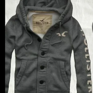 Söker!!! - Söker exakt en sån här hoodie i samma färg, betalar bra !!