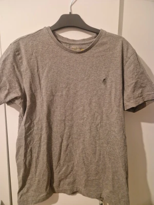 Grå t-shirt från Polo Ralph Lauren - Säljer en grå t-shirt från Polo Ralph Lauren i storlek S. Klassisk design med rund hals och korta ärmar, samt den ikoniska broderade loggan på bröstet. T-shirten är gjord i mjuk bomull och har en normal passform som är skön att bära.
