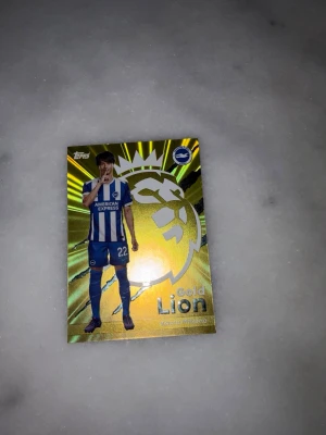 Ingen väst på bilden - Bilden visar ett samlarkort med en fotbollsspelare, inte en väst. Ingen väst finns att beskriva eller kategorisera enligt angivna taxonomier.