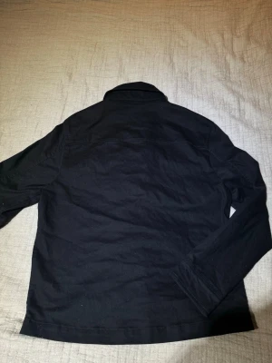 Zara  - Zara 12 pack