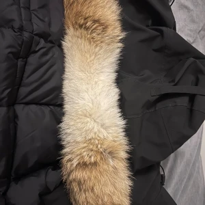 Äkta Canada Goose - Storlek M