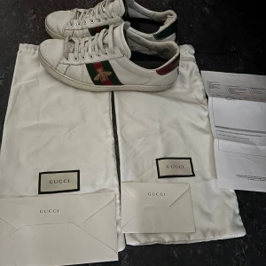 Gucci Ace sneakers  - Säljer ett par snygga Gucci Ace skor, äkta med kvitto och påsar. Skickar samma dag och kan mötas upp 
